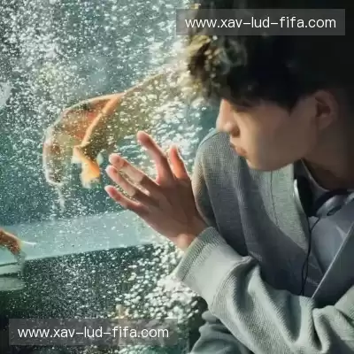 蔡蓬海