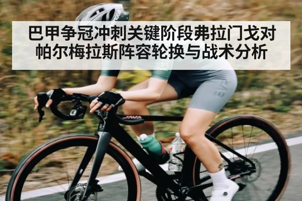 巴甲争冠冲刺关键阶段弗拉门戈对帕尔梅拉斯阵容轮换与战术分析